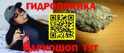 амф Кулебаки