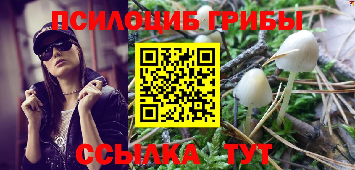 Галлюциногенные грибы прущие грибы  Вход с VPN  Кинель 