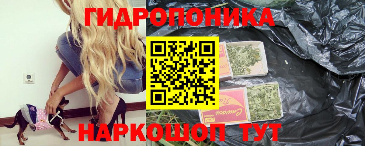 МАРИХУАНА план  Вход с VPN  Бошки марихуана индика  Канабис марихуана  Кинель 